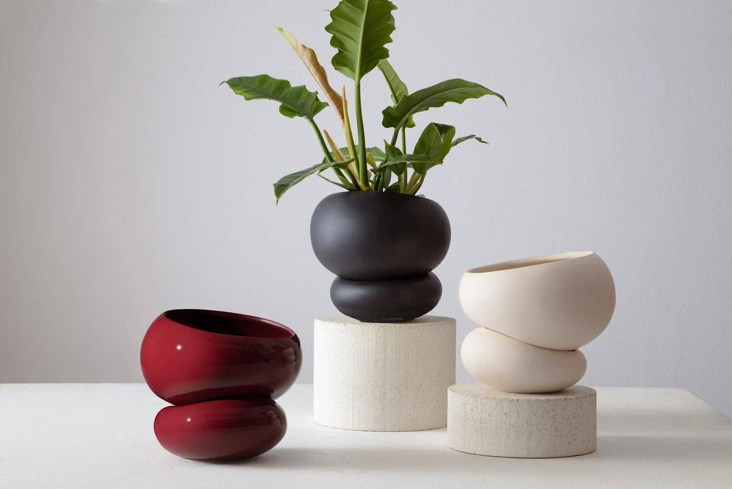 Light + Ladder: Fondra Self Watering Pot: Oxblood