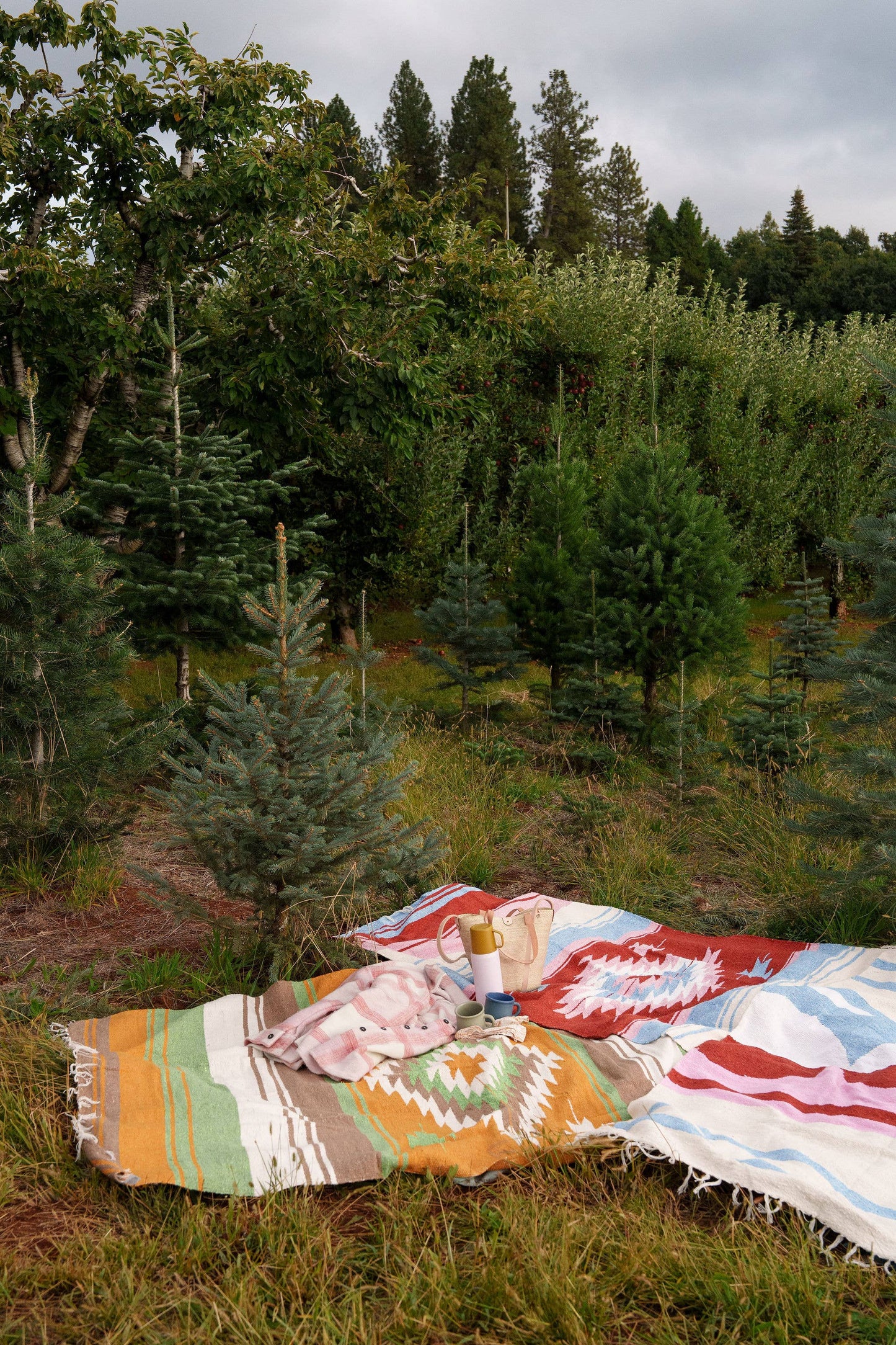 Tierra Manzana - Blanket Roll