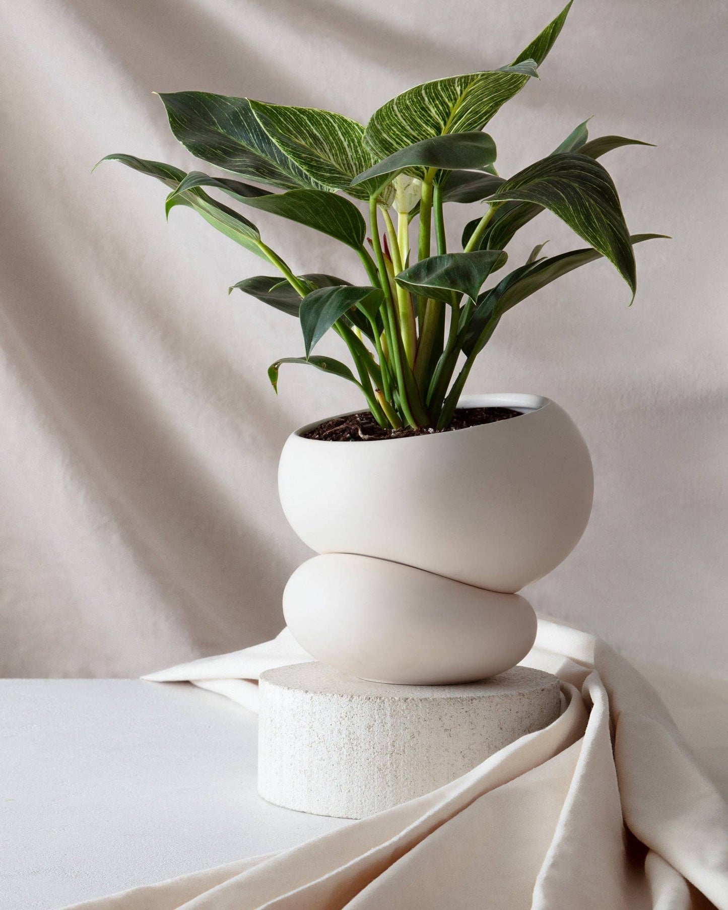 Light + Ladder: Fondra Self Watering Pot: Oxblood